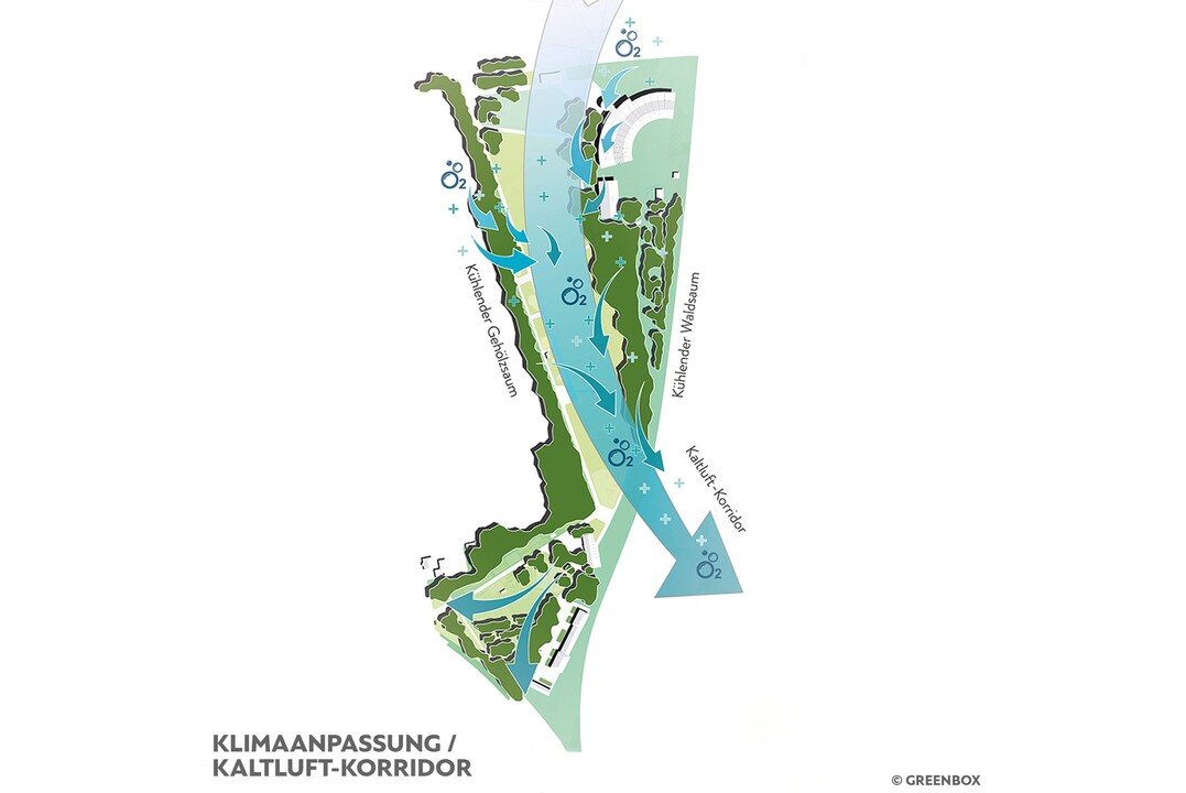 Manahmen zur kologischen Aufwertung und Klimaangepasstheit:
Neben Erhalt und Aufwertung bereits bestehender Biotope werden auch einige Biotope neu geschaffen. Diese sind in erster Linie die verwilderten Gehlzsume, welche den Park nach Westen in Richtung Gewerbegebiet abschirmen und mit Struchern und Schattenstauden unter den Gehlzen bepflanzt werden. Baumneupflanzungen werden mit Initialpflanzungen untersttzt, um zuknftig dichte, verwilderte Randbereiche zu erzielen. Diese grnen Rnder sollen den bestehenden Kaltluftkorridor untersttzen und zustzliche Frischluft generieren, die sich dann in Richtung Innenstadt bewegt.  (AUSZUG ENTWURFSTEXT)