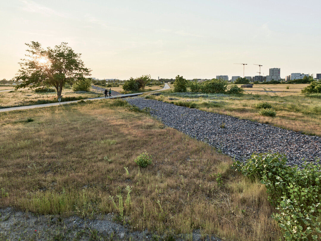 Grünzug Nordost – Weitblick Klimapark