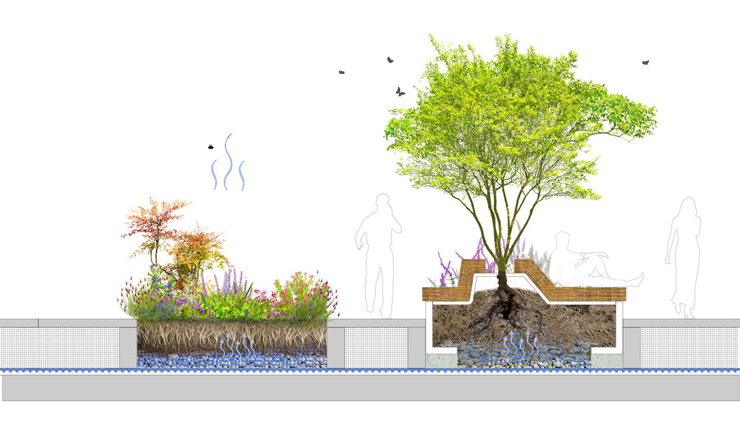 Zwischen Grserband und den reaktivierten Wasserbecken werden die kulissenhaft konzipierten Heckenkrper als "Rathausgrten" weiterentwickelt. Dazu werden lineare Teilflchen entsiegelt und durch verschieden geprgte vegetative Sequenzen ersetzt (...) Als Pionier- und Boskett-Streifen charakterisiert, ergnzen sie die formale Strenge der Hecken durch natrliche Wildheit und generieren eine dynamische und lebendige Raumwirkung. AUSZUG ENTWURFSTEXT