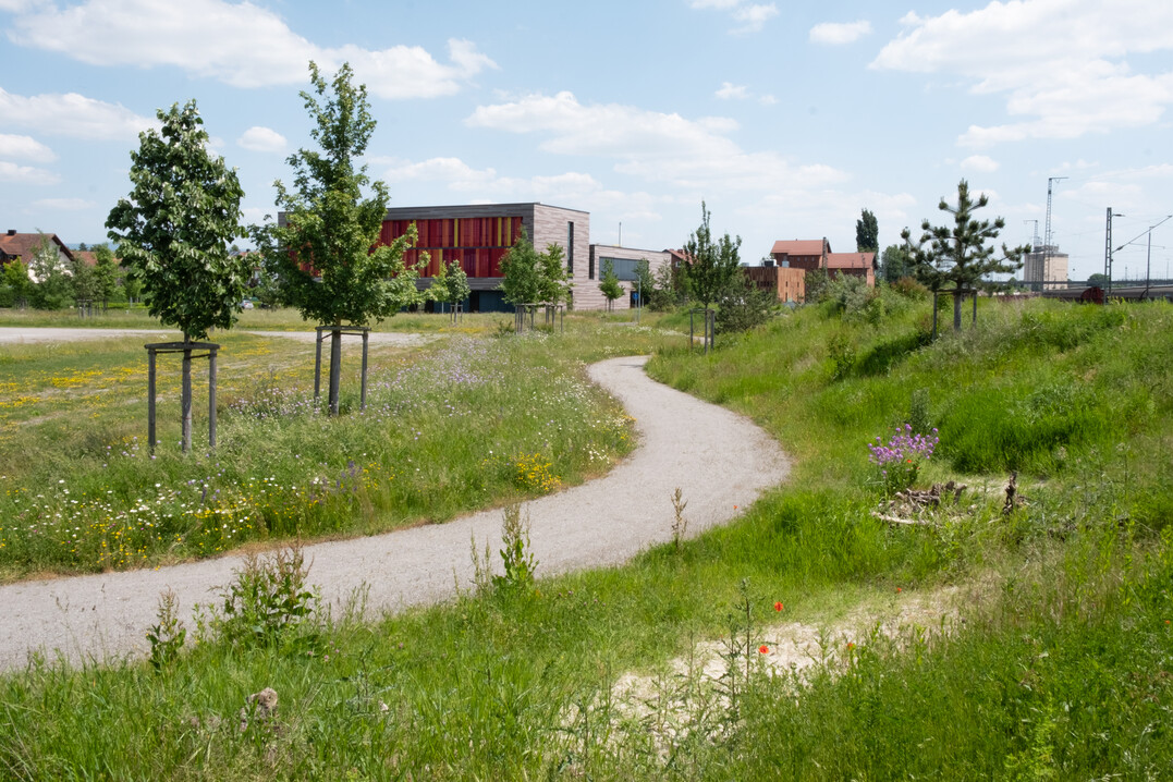 Nordpark III Plattling - Landschaftspark mit Campusareal; Planung: BEM Burkhardt | Engelmayer | Mendel Landschaftsarchitekten Stadtplaner Part mbB