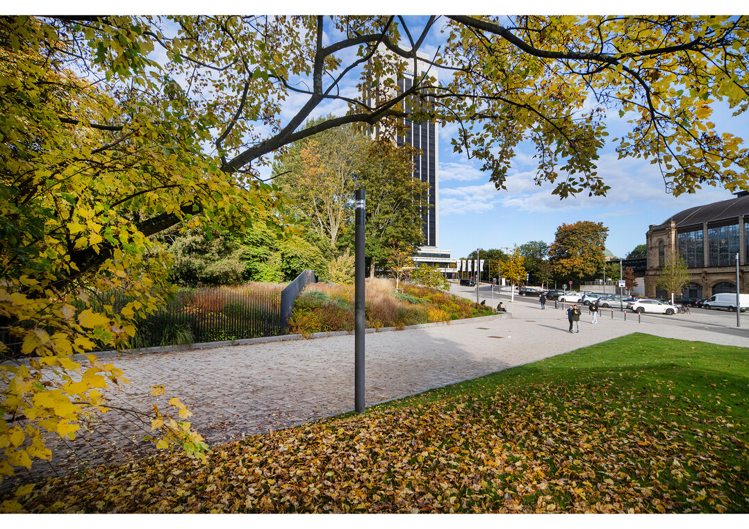 Pflanzenverwendung:
Planten un Blomen, Dag-Hammarskjöld-Platz, Hamburg. Entwurfsverfasser: POLA Landschaftsarchitekten GmbH