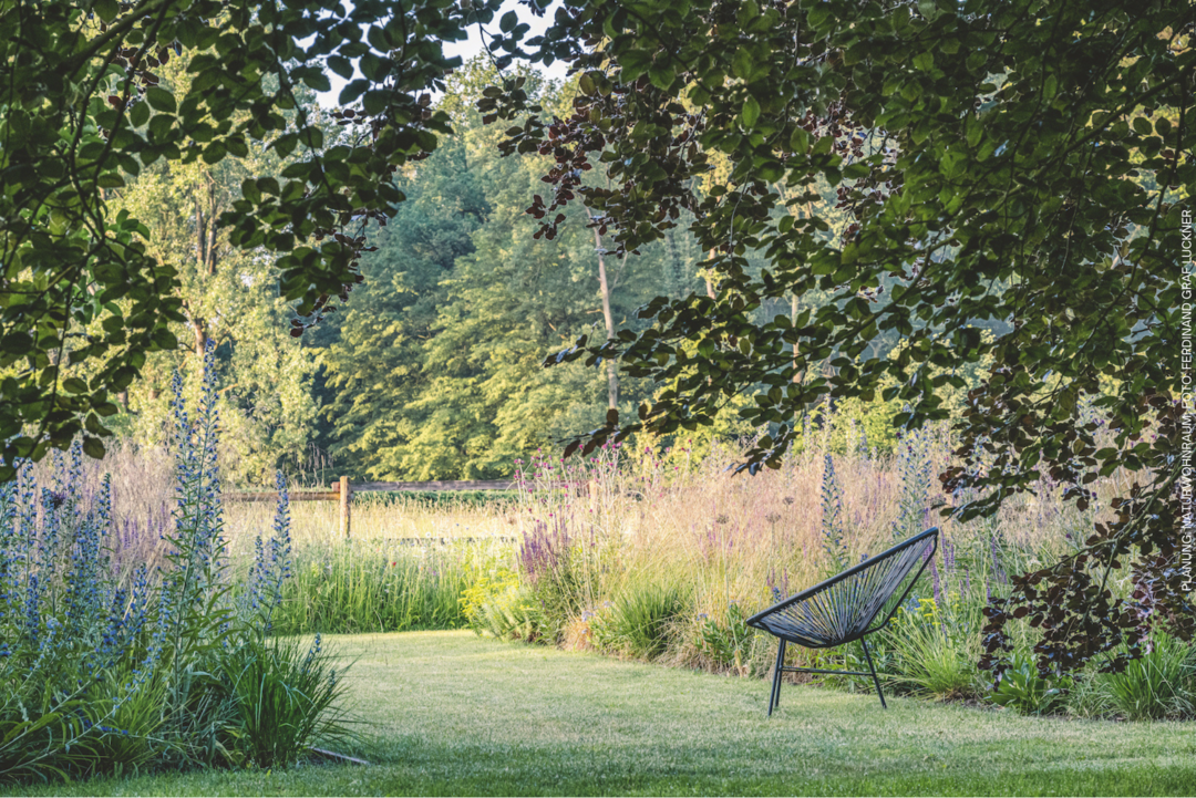 Foto des Siegergartens 2024, Planung Naturwohnraum