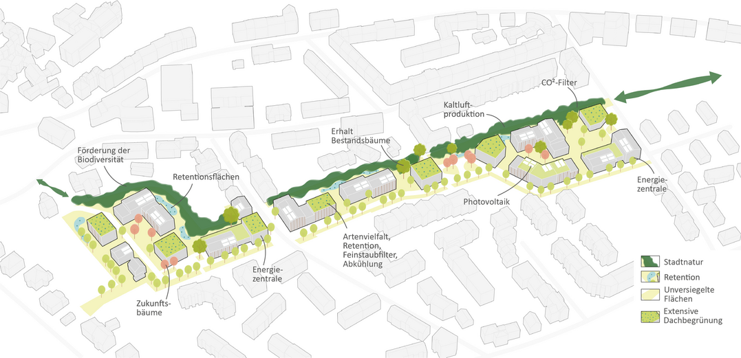 Neben der Aufenthalts- und Erschlieungsfunktion erfllen die zwei zentralen Achsen sowie die Quartierspltze kologische Funktionen. Die StadtNatur-Achse erhht die Biodiversitt im Quartier, fungiert als nutzungsfreier Ort sowie Lebensraum fr Flora und Fauna. Neben der Rckhaltung von Regenwasser, der Verdunstung und einhergehend Khlung der Umgebung, fungiert der Naturraum auch als CO2-Speicher. AUSZUG ERLUTERUNGSTEXT