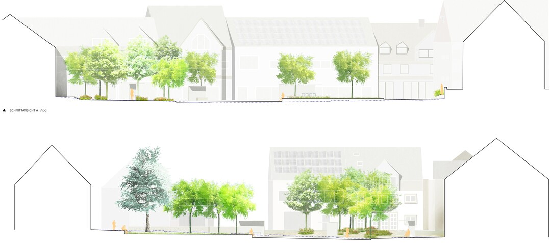 Vegetation "Leider lassen sich nur die wenigsten der vorhandenen Bume erhalten. Innerhalb der Umgestaltung sollen wenigstens die drei Linden an der Nordseite des Platzes integriert werden. Deren Baumscheiben werden vergrert und der Wurzelraum aktiviert. Dem Baumbestand wird eine neue Grnkulisse hinzugefgt. Es kommen Arten zum Einsatz, die den knftigen klimatischen Herausforderungen aus heutiger Sicht hinreichend gewachsen erscheinen. Die Baumpflanzungen verzichten bewusst auf pflegeintensive Formschnitte oder die Ausbildung klarer Pflanzstrukturen, damit auch knftig einzelne Exemplare getauscht oder bei Bedarf ersetzt werden knnen, ohne die Gesamtgestaltung negativ zu beeintrchtigen. Die Baumquartiere auf der nrdlichen Platzseite erhalten einen Anschluss an die ntwsserungspunkte und werden als Baumrigolen konzipiert, fr eine ausreichende Wasserversorgung." Auszug Entwurfstext