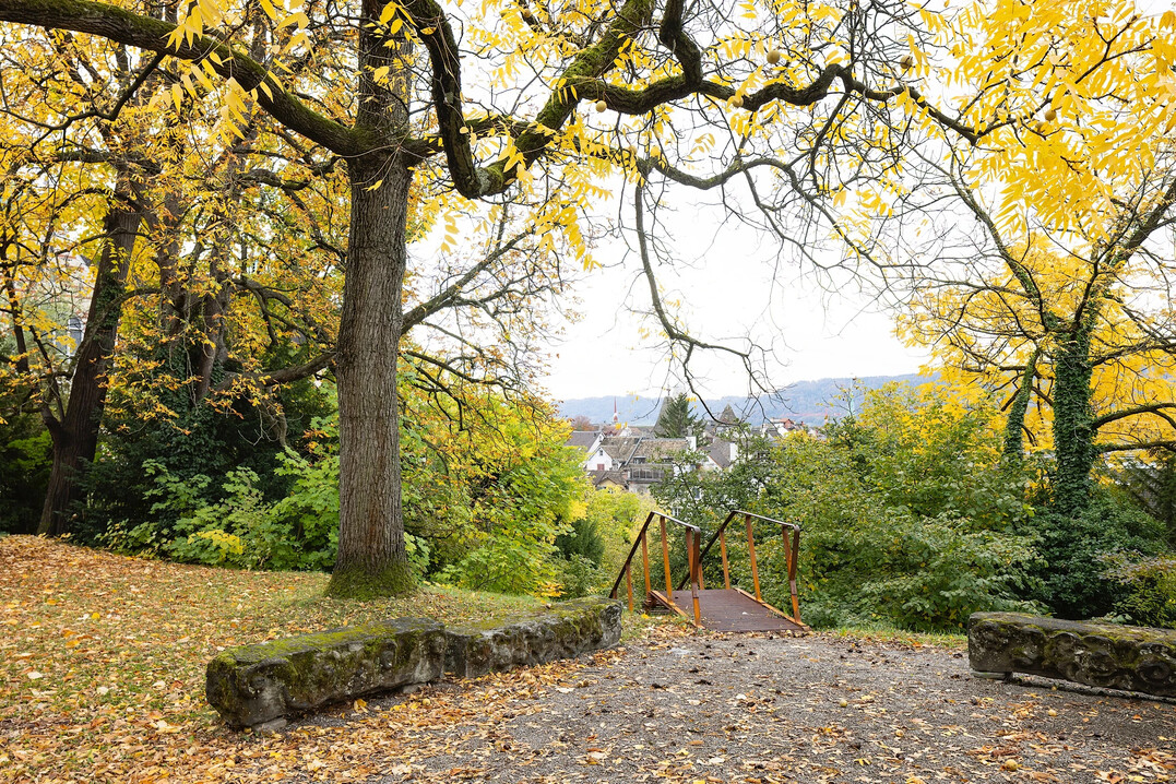 Silberner Hase 2023: Gartensequenz Hochschulgebiet Z�rich Zentrum. Was vorher getrennt war, ist nun verbunden, z.B. durch Treppen aus Cortenstahl.&nbsp;