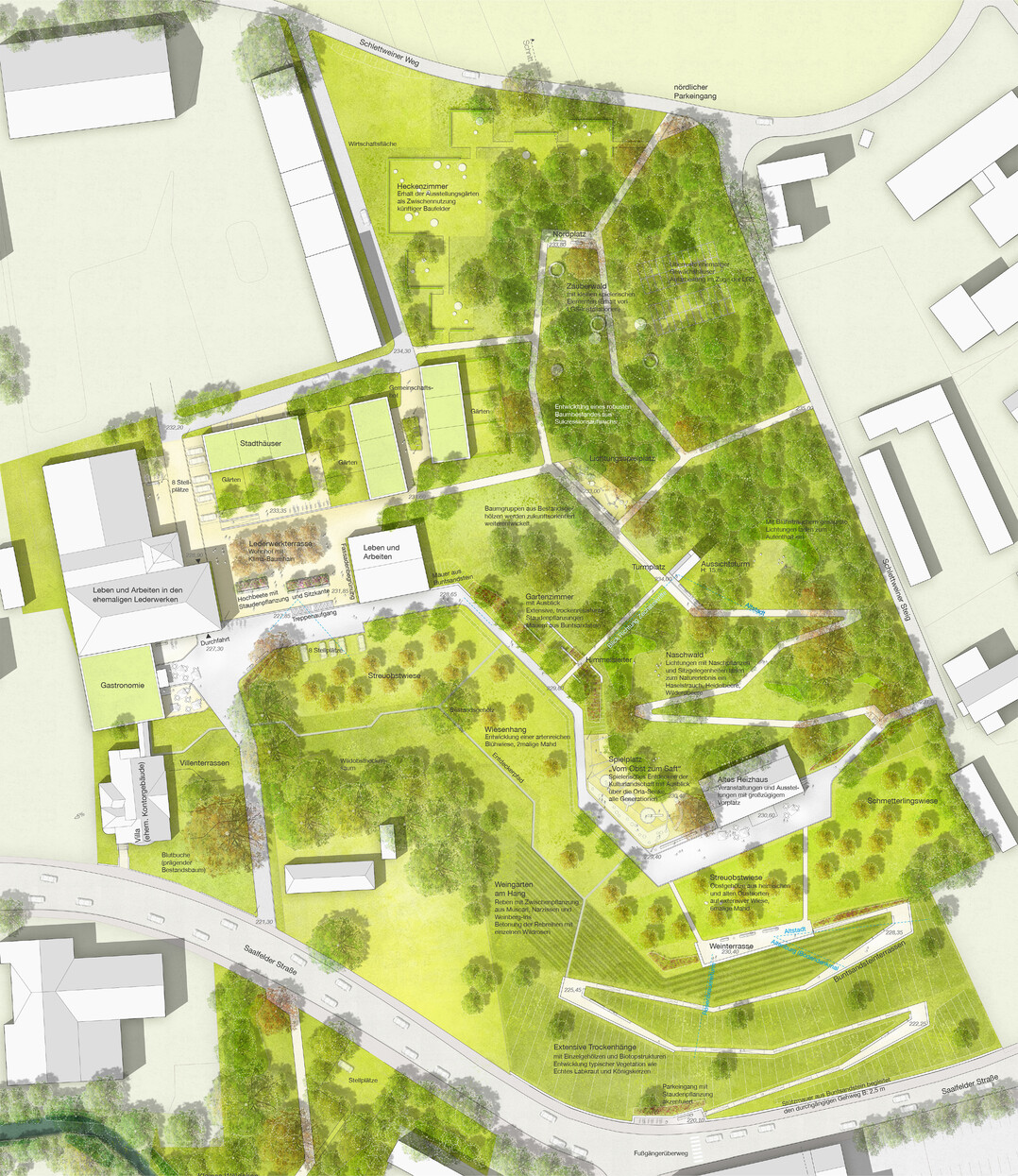 Die neuen Freirume in Pneck sind geprgt von groen Hhenunterschieden und steilen
Hngen. Das Motiv der Hangwege wird hier wieder aufgegriffen und ermglicht erst die Erschlieung der Flchen. Vor
allem am Zukunftspark Lederwerke am westlichen Stadteingang, welcher bestimmt wird durch den markanten,
wertvollen Gebudebestand, sowie den Steilhang an der Saalfelder Strae, erschliet ein neuer Bergweg von der Stadt
aus das Gelnde (...) Ausgehend von der grorumigen landschaftlichen
Einordnung in die Saale-Elster-Buntsandsteinregion wird der Standort mit dem Schwerpunkt eines extensiven
Trockenhangs mit der standorttypischen Artenvielfalt an blhenden Krutern, Wildstauden und Gehlzen entwickelt. (Auszug aus Erlutzerungstext)